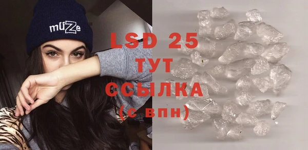 PSILOCYBIN Алексин