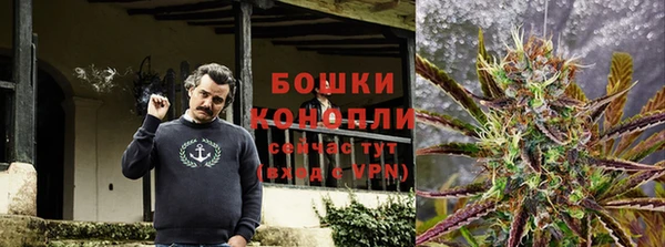 spice Алзамай