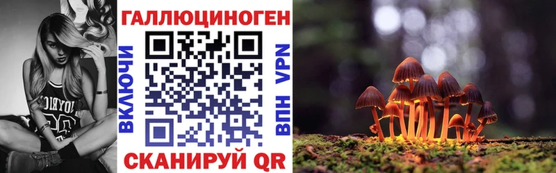Псилоцибиновые грибы Psilocybe  Боровичи 